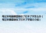 笔记本电脑键盘锁住了打不了字怎么办（笔记本键盘锁住了打不了字简介介绍）