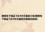哪里有下极品飞车5中文版的介绍(哪里有下极品飞车5中文版的详细情况如何)