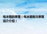 电冰箱的原理（电冰箱制冷原理简介介绍）
