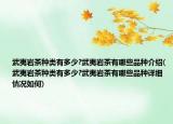 武夷岩茶种类有多少?武夷岩茶有哪些品种介绍(武夷岩茶种类有多少?武夷岩茶有哪些品种详细情况如何)