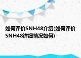 如何评价SNH48介绍(如何评价SNH48详细情况如何)