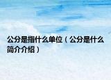 公分是指什么单位（公分是什么简介介绍）