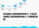 河北省网上税务局地税申报\
