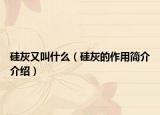 硅灰又叫什么（硅灰的作用简介介绍）
