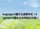 bugreport是什么意思中文（bugreport是什么文件简介介绍）