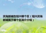 滨海新城在绍兴哪个区（绍兴滨海新城属于哪个区简介介绍）