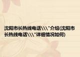 沈阳市长热线电话\