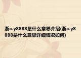 浙a.y8888是什么意思介绍(浙a.y8888是什么意思详细情况如何)