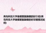 青岛科技大学谁做聚氨酯做的好介绍(青岛科技大学谁做聚氨酯做的好详细情况如何)