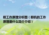 胆工作原理分析图（胆机的工作原理是什么简介介绍）