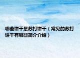 哪些饼干是苏打饼干（常见的苏打饼干有哪些简介介绍）