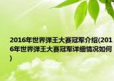 2016年世界弹王大赛冠军介绍(2016年世界弹王大赛冠军详细情况如何)