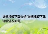 微博视频下载介绍(微博视频下载详细情况如何)