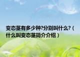 变态茎有多少种?分别叫什么?（什么叫变态茎简介介绍）