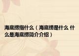 海底捞指什么（海底捞是什么 什么是海底捞简介介绍）