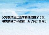 父母爱情里江亚宁和谁结婚了（父母爱情亚宁和谁在一起了简介介绍）