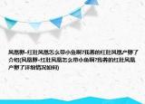 凤凰卵-红肚凤凰怎么带小鱼啊?我养的红肚凤凰产卵了介绍(凤凰卵-红肚凤凰怎么带小鱼啊?我养的红肚凤凰产卵了详细情况如何)