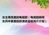 女主角姓夏的电视剧（电视剧麻辣女兵中夏夏的扮演者是谁简介介绍）