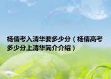 杨倩考入清华要多少分（杨倩高考多少分上清华简介介绍）