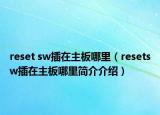 reset sw插在主板哪里（resetsw插在主板哪里简介介绍）