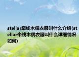 stellar牵线木偶衣服叫什么介绍(stellar牵线木偶衣服叫什么详细情况如何)