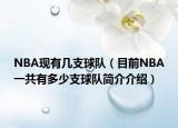 NBA现有几支球队（目前NBA一共有多少支球队简介介绍）