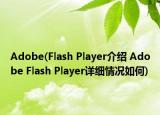 Adobe(Flash Player介绍 Adobe Flash Player详细情况如何)