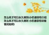 怎么样才可以永久得到(小匹德菲特介绍 怎么样才可以永久得到 小匹德菲特详细情况如何)
