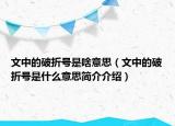 文中的破折号是啥意思（文中的破折号是什么意思简介介绍）