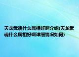 天龙武魂什么属相好啊介绍(天龙武魂什么属相好啊详细情况如何)