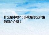 什么是小咬?（小咬是怎么产生的简介介绍）