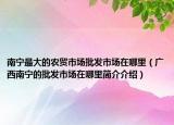 南宁最大的农贸市场批发市场在哪里（广西南宁的批发市场在哪里简介介绍）