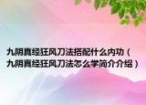 九阴真经狂风刀法搭配什么内功（九阴真经狂风刀法怎么学简介介绍）