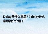 Delay是什么意思?（delay什么意思简介介绍）