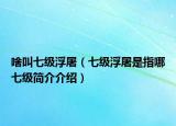 啥叫七级浮屠（七级浮屠是指哪七级简介介绍）