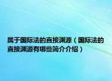 属于国际法的直接渊源（国际法的直接渊源有哪些简介介绍）