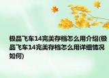 极品飞车14完美存档怎么用介绍(极品飞车14完美存档怎么用详细情况如何)