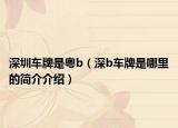 深圳车牌是粤b（深b车牌是哪里的简介介绍）