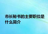 市长秘书的主要职位是什么简介