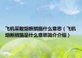 飞机采取熔断措施什么意思（飞机熔断措施是什么意思简介介绍）