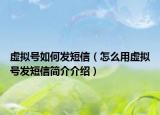 虚拟号如何发短信（怎么用虚拟号发短信简介介绍）