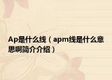Ap是什么线（apm线是什么意思啊简介介绍）