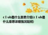 cⅠub是什么意思介绍(cⅠub是什么意思详细情况如何)