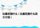 比基尼指什么（比基尼是什么简介介绍）