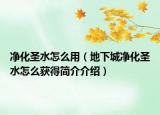 净化圣水怎么用（地下城净化圣水怎么获得简介介绍）