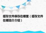 缓存文件保存在哪里（缓存文件在哪简介介绍）