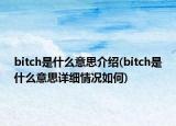 bitch是什么意思介绍(bitch是什么意思详细情况如何)