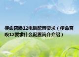 使命召唤12电脑配置要求（使命召唤12要求什么配置简介介绍）