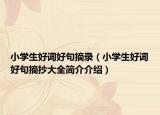 小学生好词好句摘录（小学生好词好句摘抄大全简介介绍）