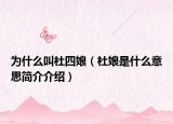 为什么叫杜四娘（杜娘是什么意思简介介绍）
